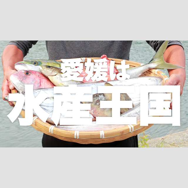 EのさかなPR動画