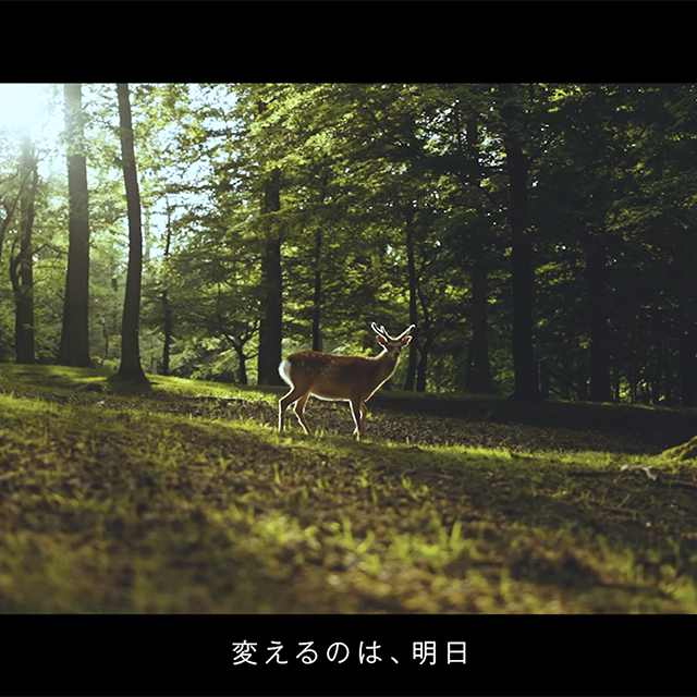 ダイキアクシスブランドムービー