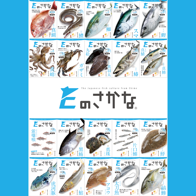 Eのさかな-バックナンバー贈呈用パッケージ