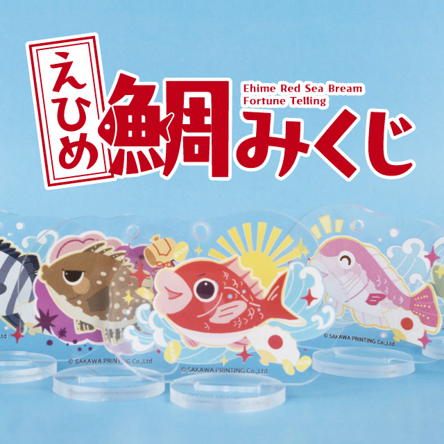 えひめ鯛みくじ　ブランディング