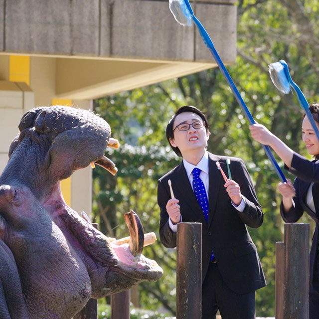 「動物営業・カピバラ」「動物営業・カバ」