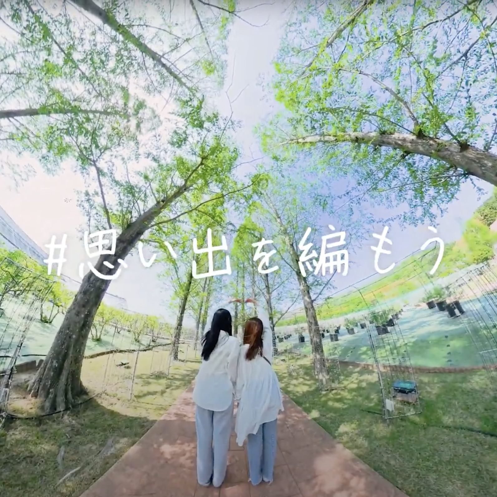 タオル美術館CM 「思い出を編もう」篇