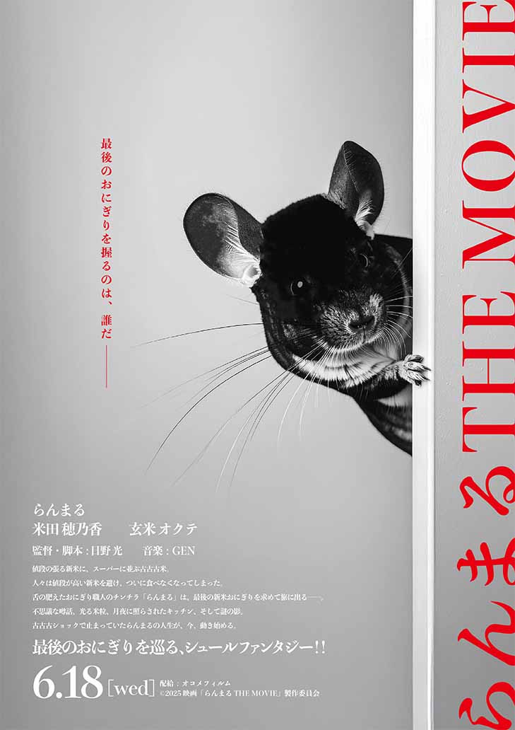 らんまるは見た